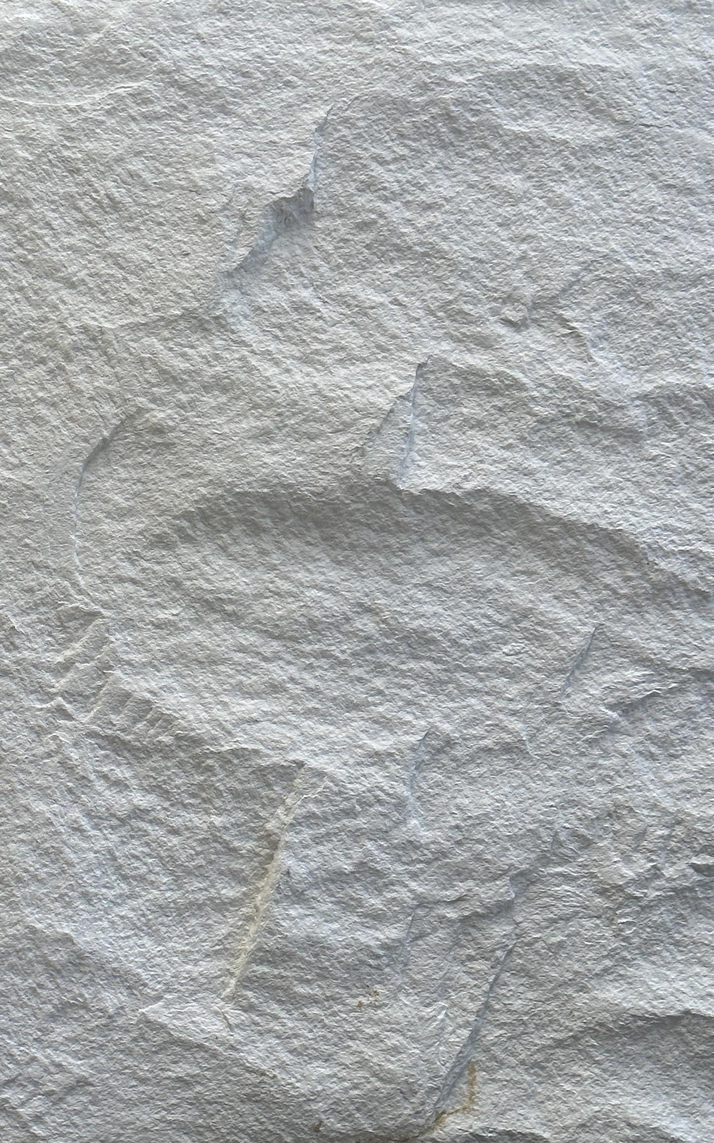 PU normal stone panel (Large Plate) 3