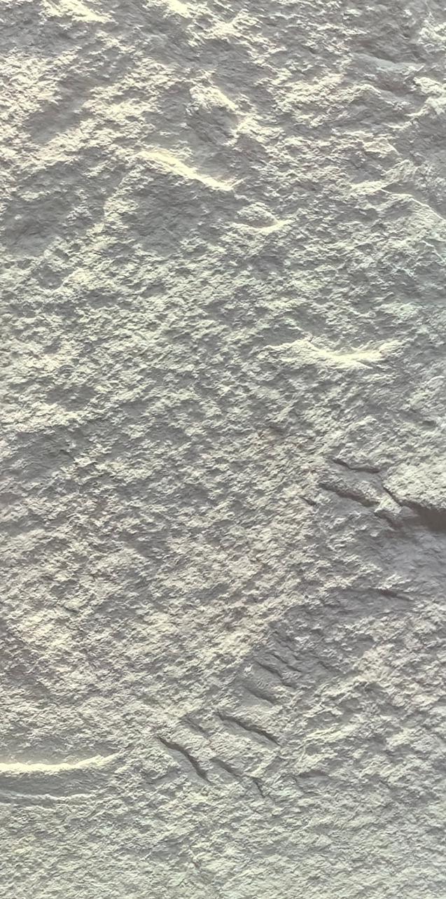 PU normal stone panel (ABCDE grain) 4